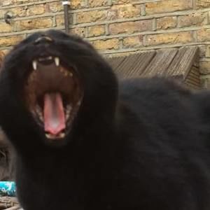 Meet your Posher, Maximiliane